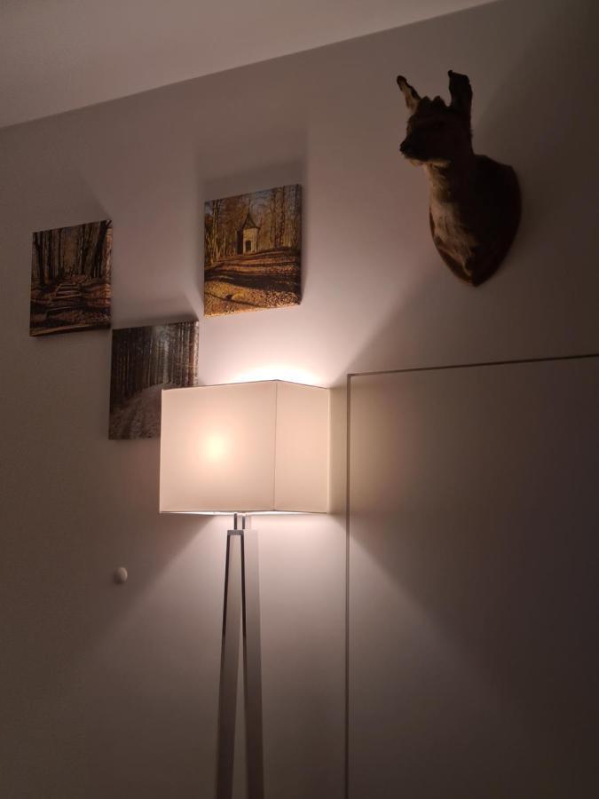דירות Terrasses De Malmedy - Duplex "Happiness" - Pellet & Airco- מראה חיצוני תמונה